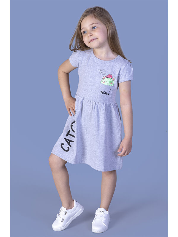 Toontoykids Kız Çocuk Cebi Meow Nakışlı Taş İşlemeli Baskılı Elbise