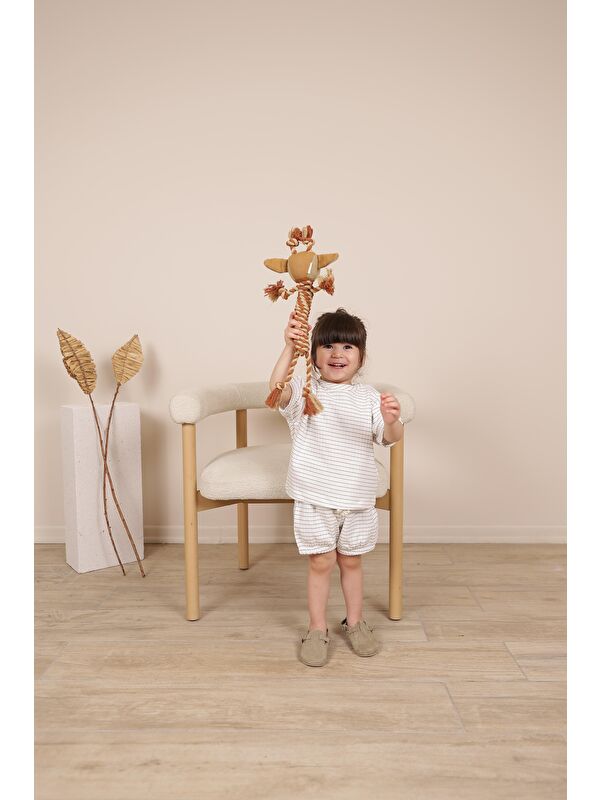 Oh La La Koala For Little Ones İndigo Çizgili Lastikli T shirt Şort Takım