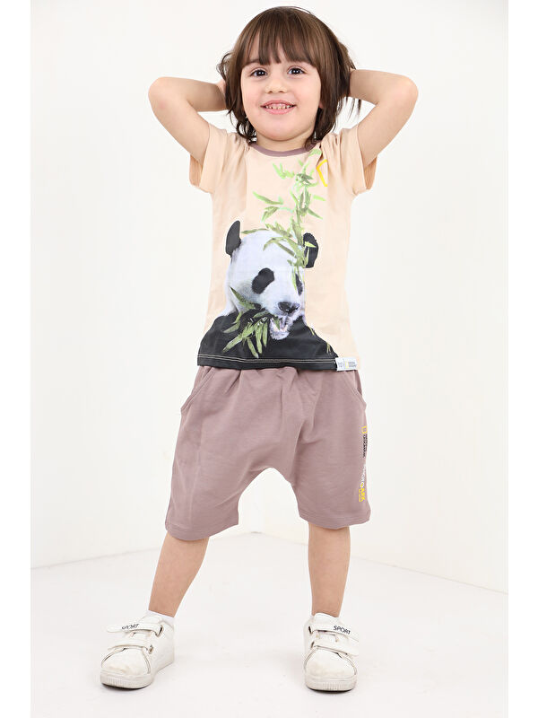 Toontoykids Erkek Bebek Baskılı Şortlu Takım