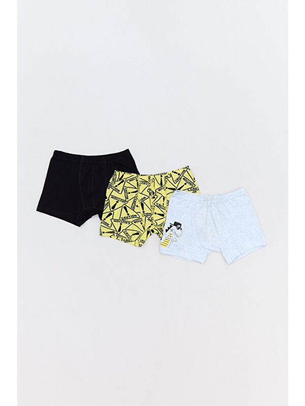 Fullamoda Dinozor Baskılı Erkek Çocuk 3 Lü Boxer