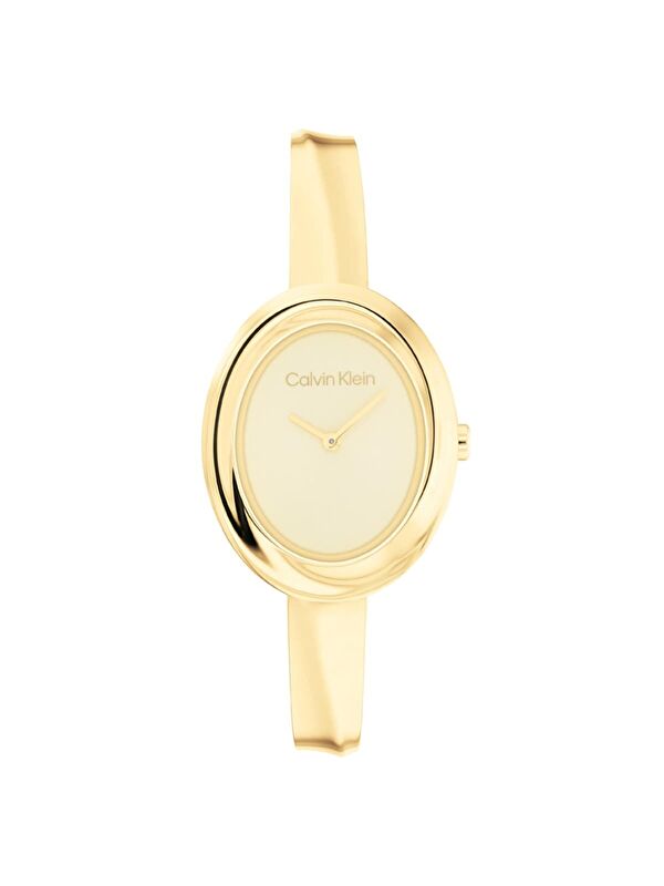 Calvin Klein CK25100056 Kadın Kol Saati