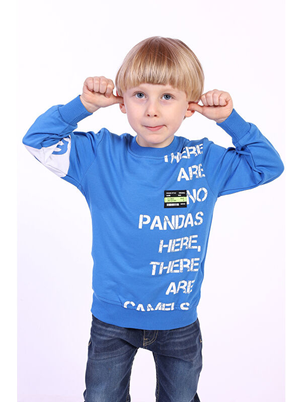 Toontoykids Erkek Çocuk Ön Ve Kol Baskılı Sweatshirt