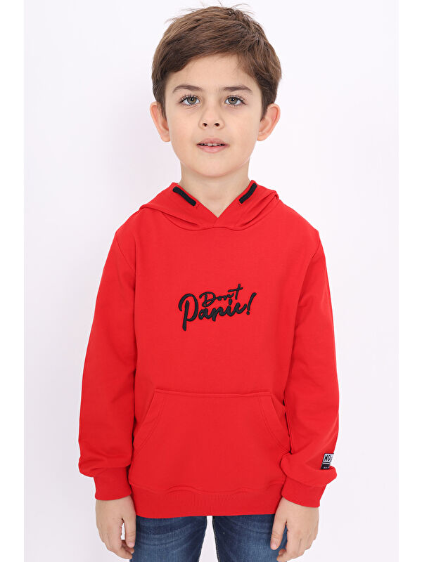 Toontoykids Erkek Çocuk Nakışlı Sweatshirt