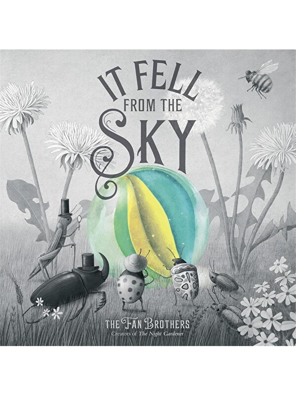 Frances Lincoln It Fell From The Sky
