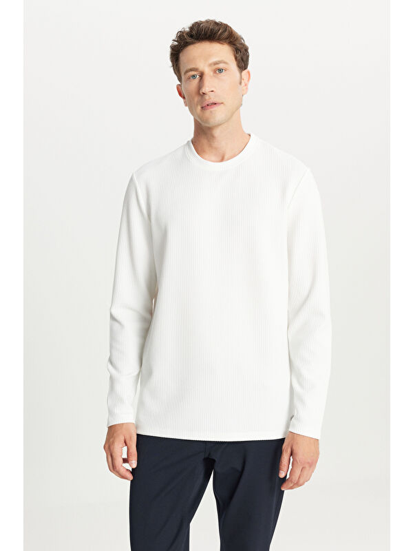Altınyıldız Classics Erkek Ekru Slim Fit Dar Kesim Bisiklet Yaka Jakarlı Uzun Kollu Tişört