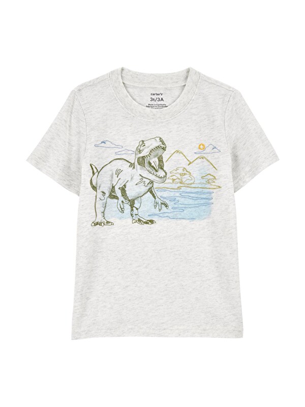 Carter's Küçük Erkek Çocuk Tshirt