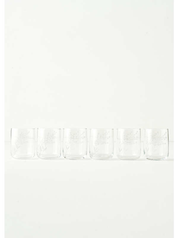 Bella Maison Exclusive Selection 6'lı Bardak Seti Naturel (280 cc)