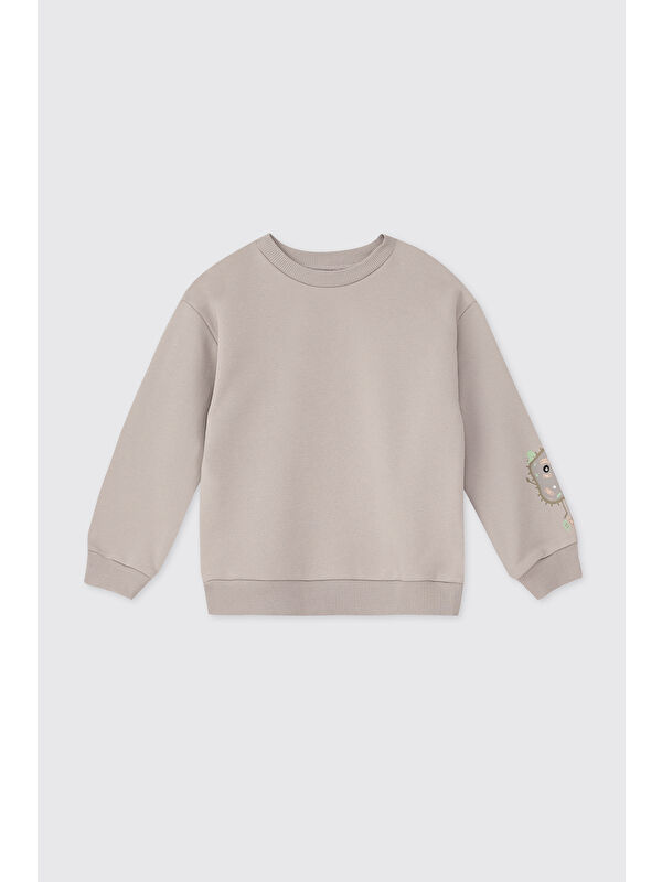 Panço Erkek Bebek Yumuşak Dokulu Taş Sweatshirt