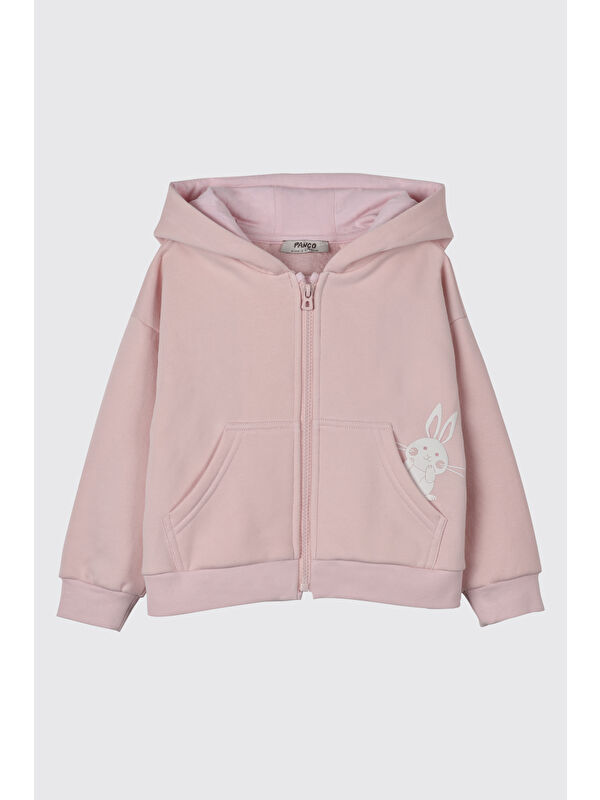 Panço Kız Bebek Kapüşonlu Pembe Sweatshirt