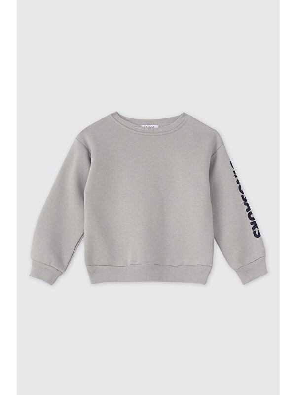 Panço Erkek Bebek Gri Sweatshirt