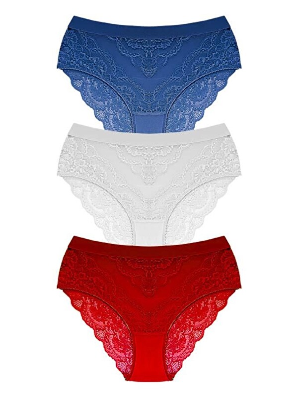 Cottonhill Dantelli Arkası Transparan Büyük Beden Bikini Külot 3'Lü Paket-2