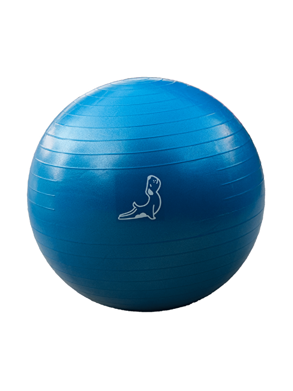 Petarya 65 cm Mavi Pilates Topu