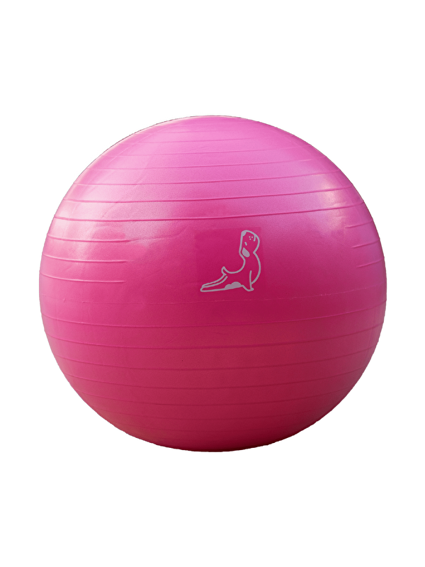 Petarya 65 cm Pembe Pilates Topu