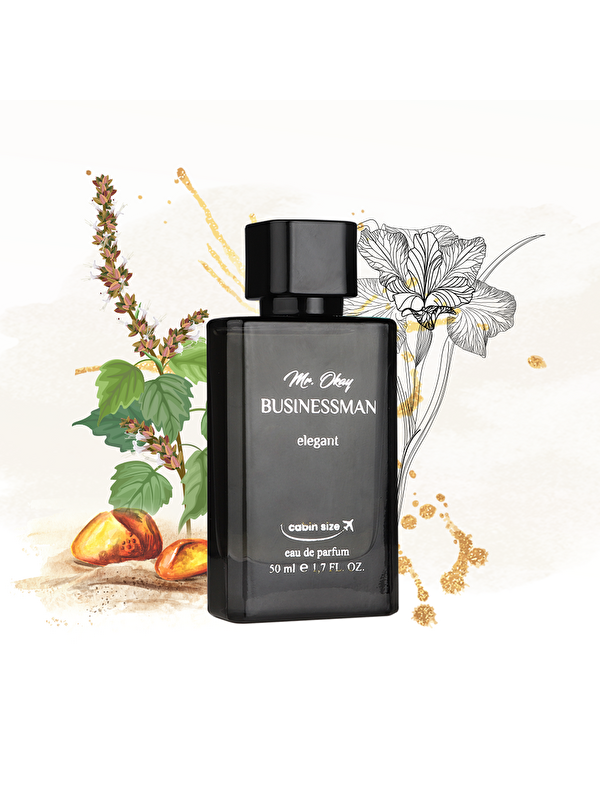 Loris Mr. Okay Businessman Elegant 50 ML