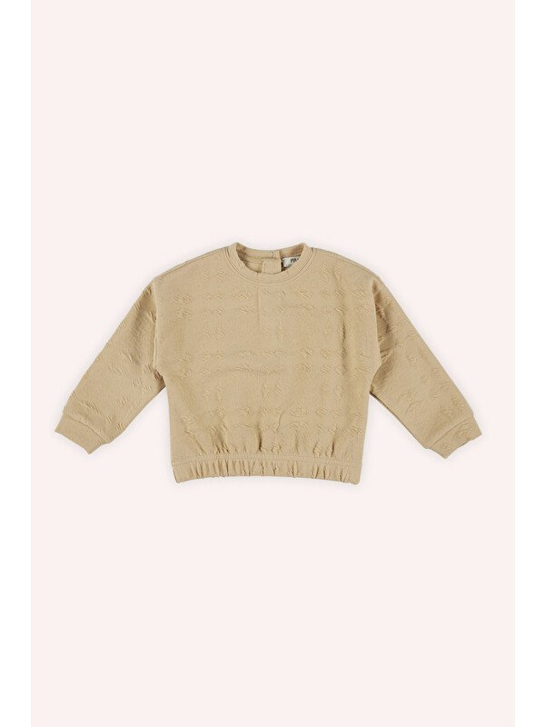 Panço Kız Bebek Bej Sweatshirt