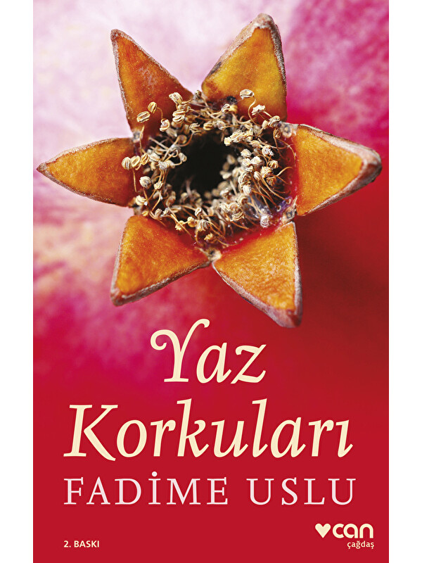 Can Yayınları Yaz Korkuları