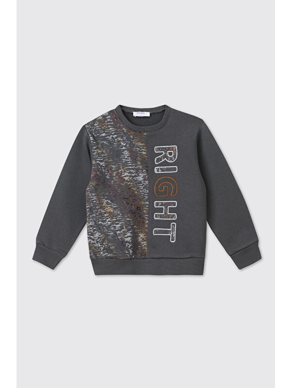 Panço Erkek Bebek Antrasit Sweatshirt