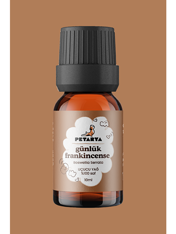 Petarya Günlük (Frankincense) Yağı | 10 ml