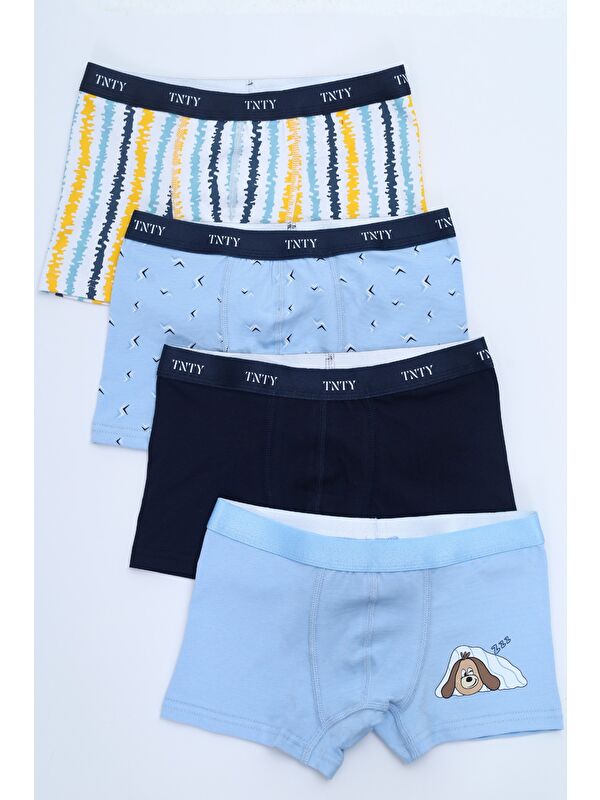 Toontoykids Erkek Çocuk Garni Dikişli 4lü Paket Boxer