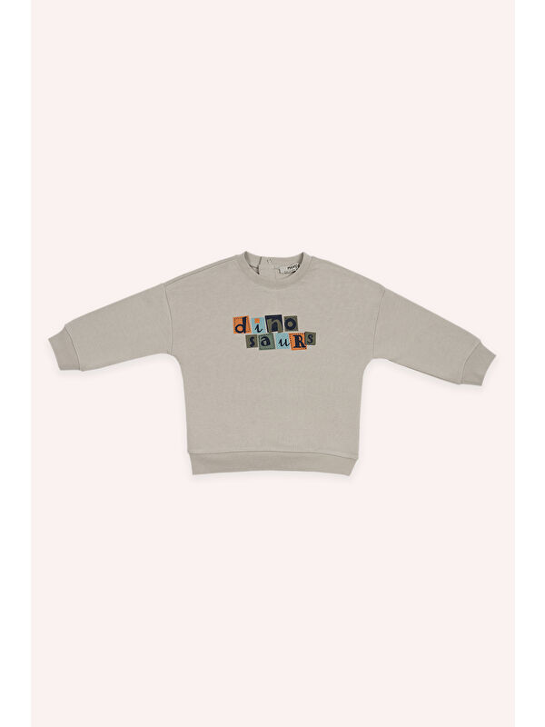 Panço Erkek Bebek Baskılı Bej Sweatshirt