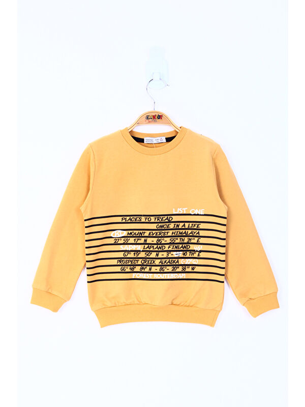 Toontoykids Erkek Çocuk Yazı Baskılı Sweatshirt