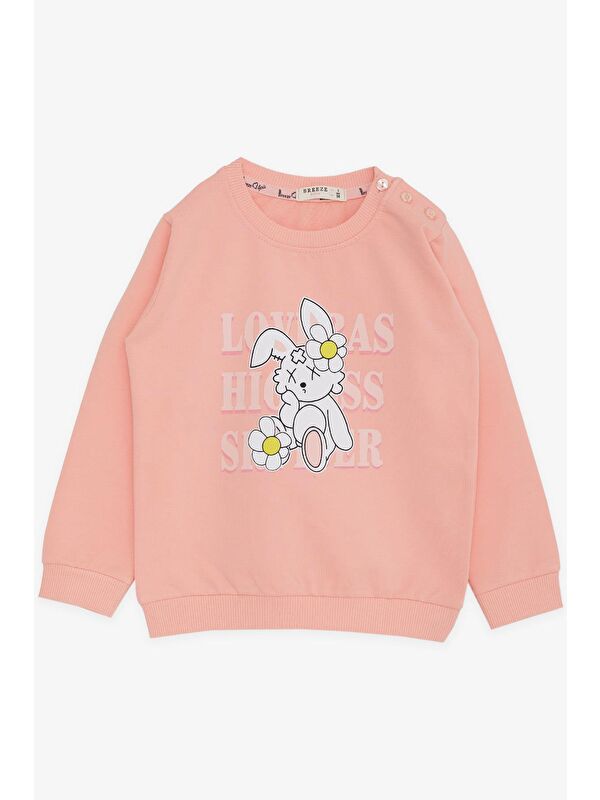 Breeze Kız Çocuk Sweatshirt Tavşancık Baskılı Somon (1.5-5 Yaş)