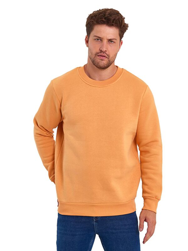 Rodi 3 İplik Şardonlu Bisiklet Yaka Erkek Sweatshirt