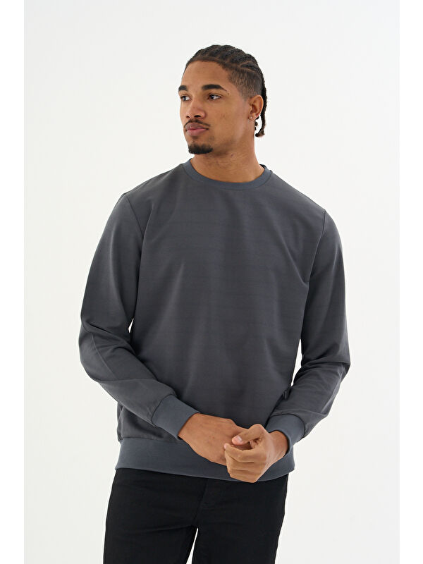 Süperlife Erkek Gri Bisiklet Yaka Ribanalı Regular Fit Sweatshirt spr26swk930