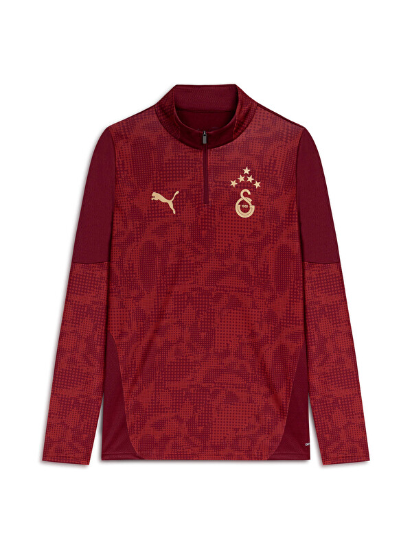 Puma GALATASARAY Erkek Antrenman Fermuarlı Üst