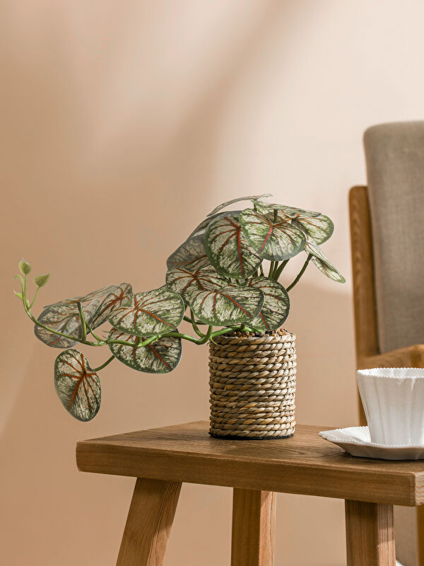 LCW HOME زهرة اصطناعية في وعاء من الخوص 25 سم