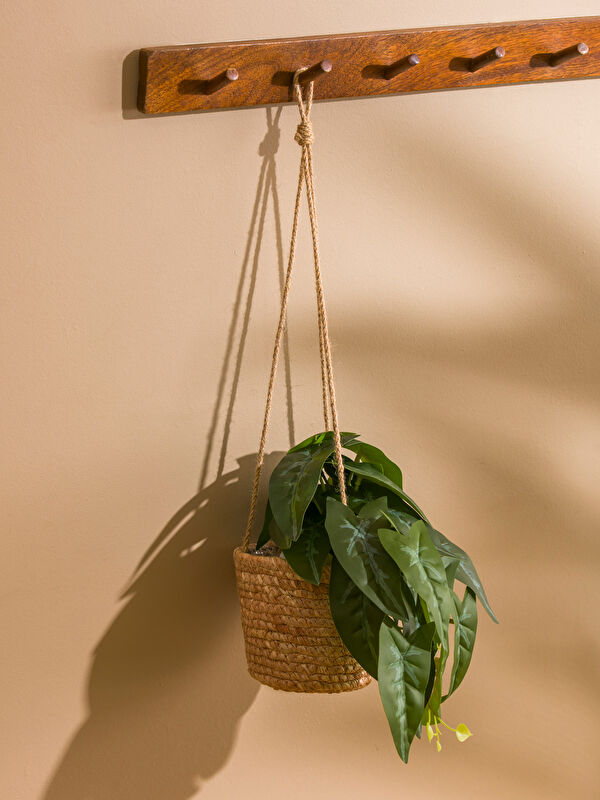 LCW HOME گوڵەبەڕۆژی ڕاتانی حەبلکاری 48 cm