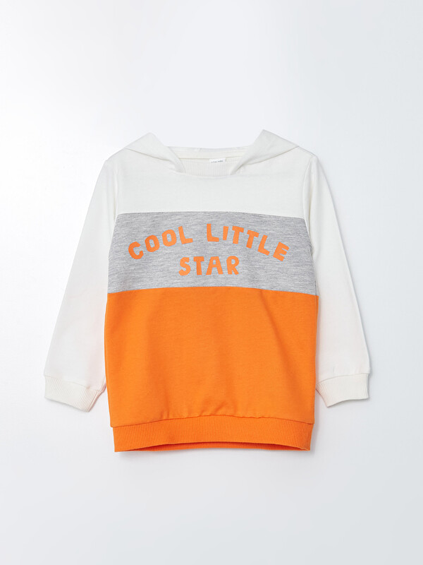 LCW ECO Hooded Long Sleeve Printed Baby Boy Sweatshirt