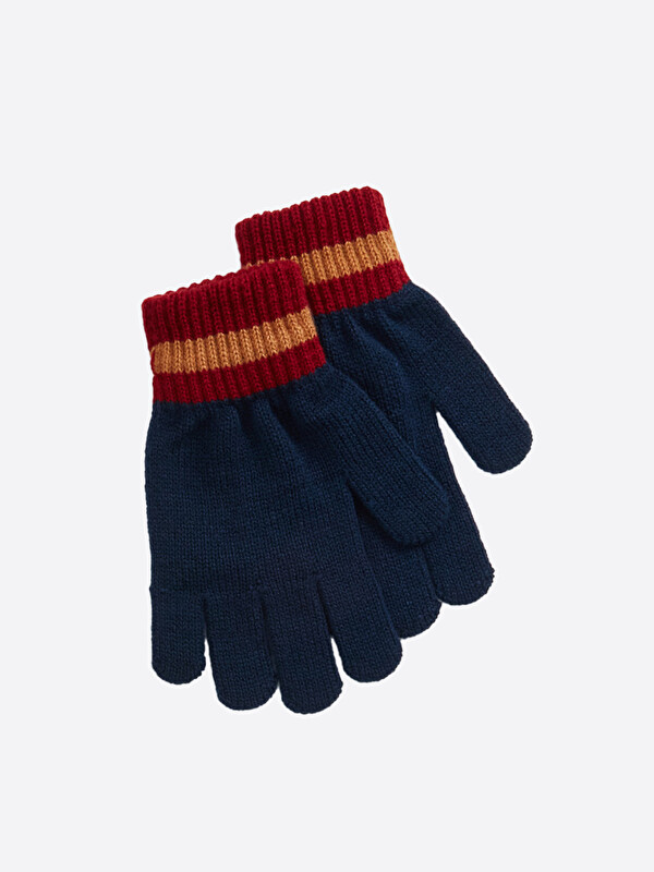 LCW ACCESSORIES Renk Bloklu Erkek Çocuk Eldiven