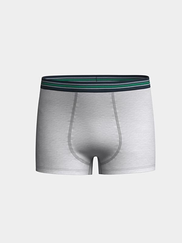 LCW Kids Basic Erkek Çocuk Boxer