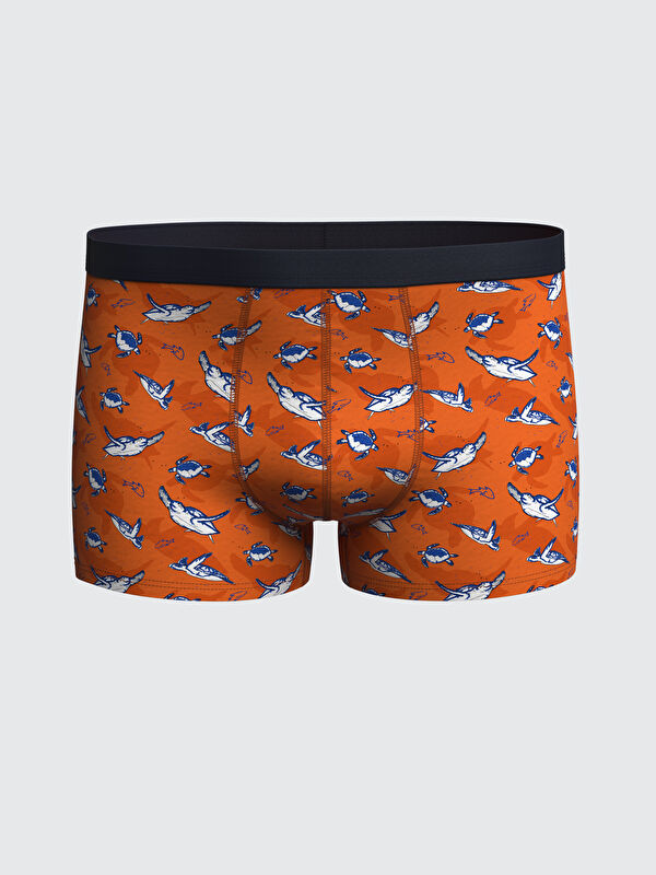 LC WAIKIKI Standart Kalıp Pamuklu Esnek Erkek Boxer