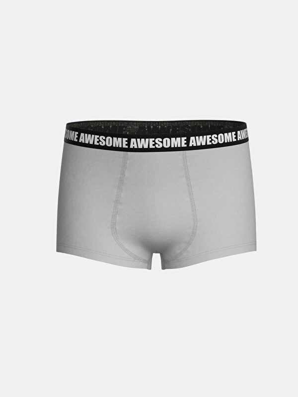 LCW Kids Baskılı Erkek Çocuk Boxer