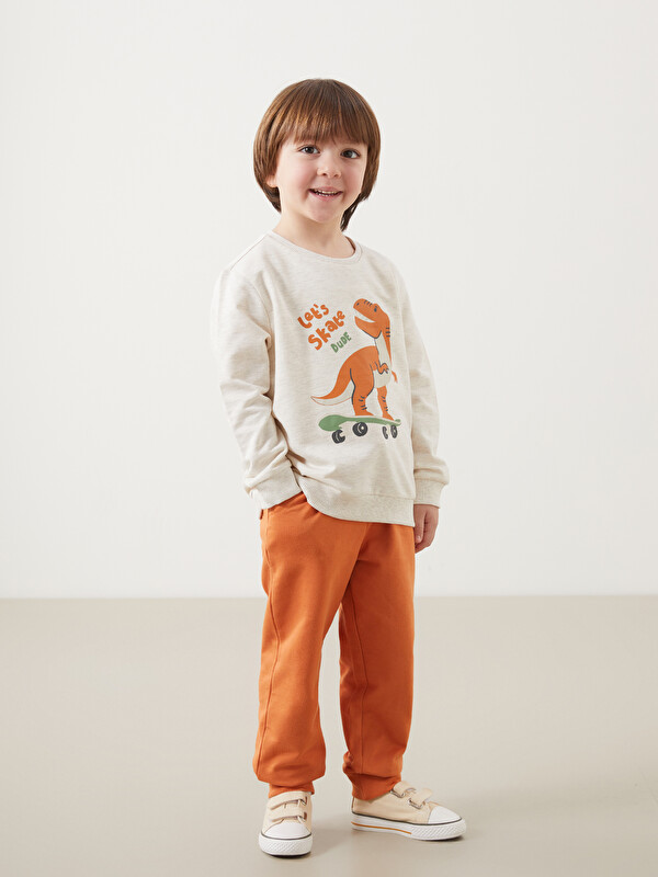LCW Kids Dinozor Baskılı Erkek Çocuk Sweatshirt