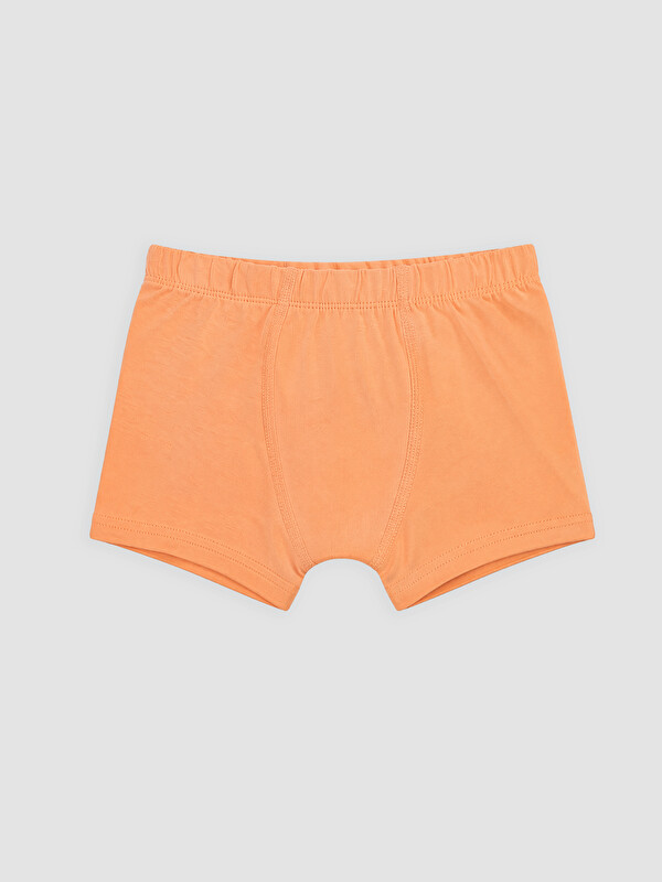 LCW Kids Erkek Çocuk Boxer