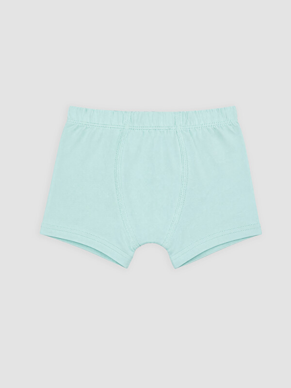 LCW Kids Erkek Çocuk Boxer