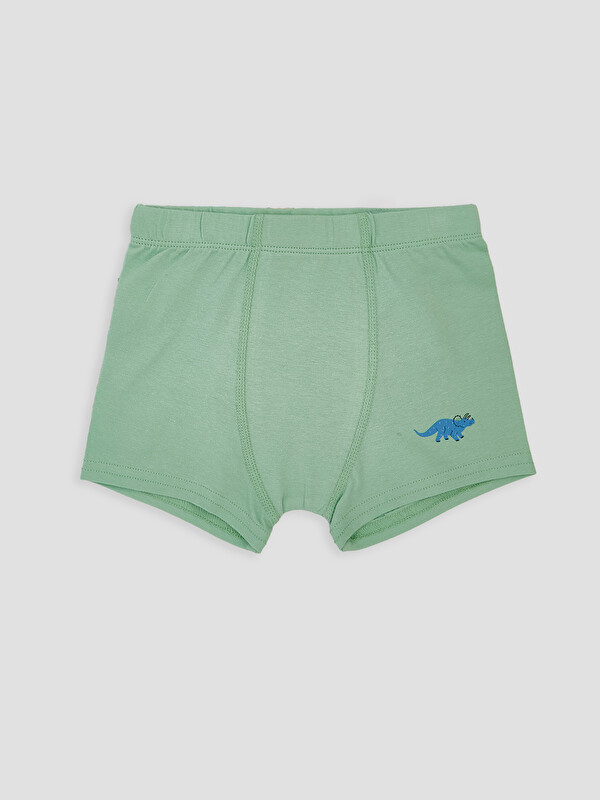 LCW Kids Dinozor Nakışlı Erkek Çocuk Boxer