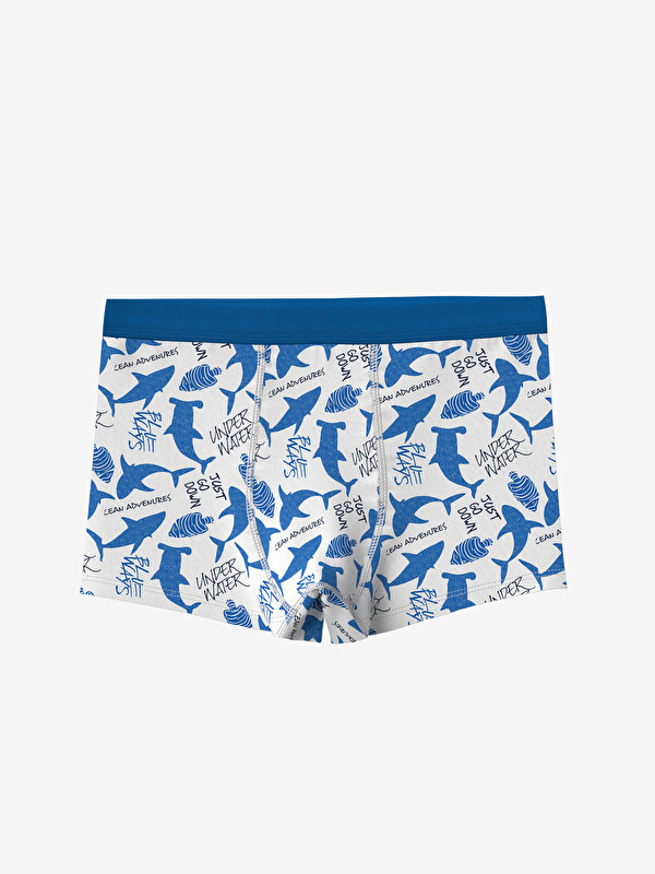 LCW Kids Baskılı Erkek Çocuk Boxer