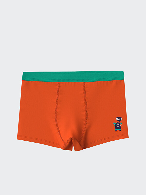 LCW Kids Erkek Çocuk Boxer