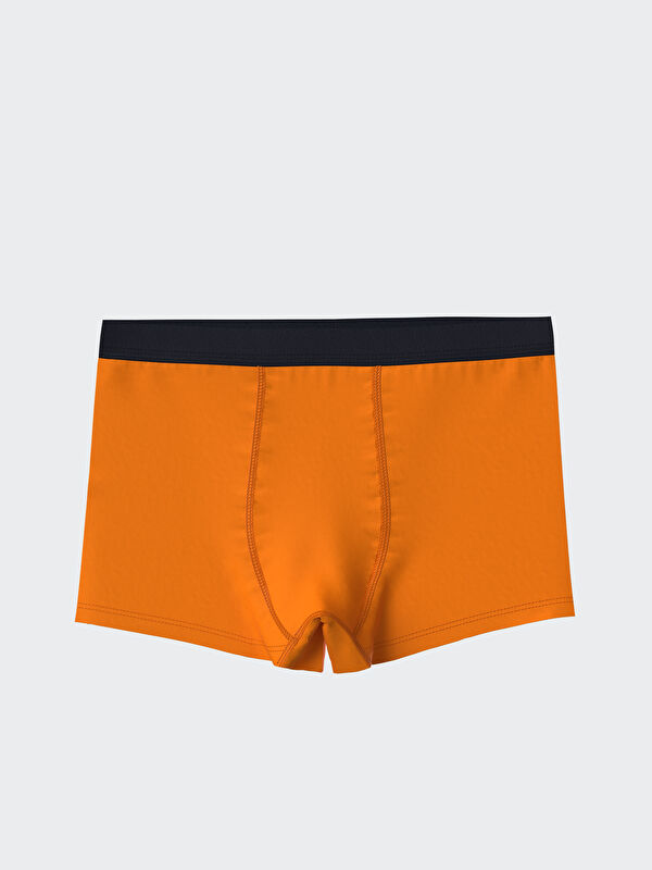 LCW Kids Erkek Çocuk Boxer