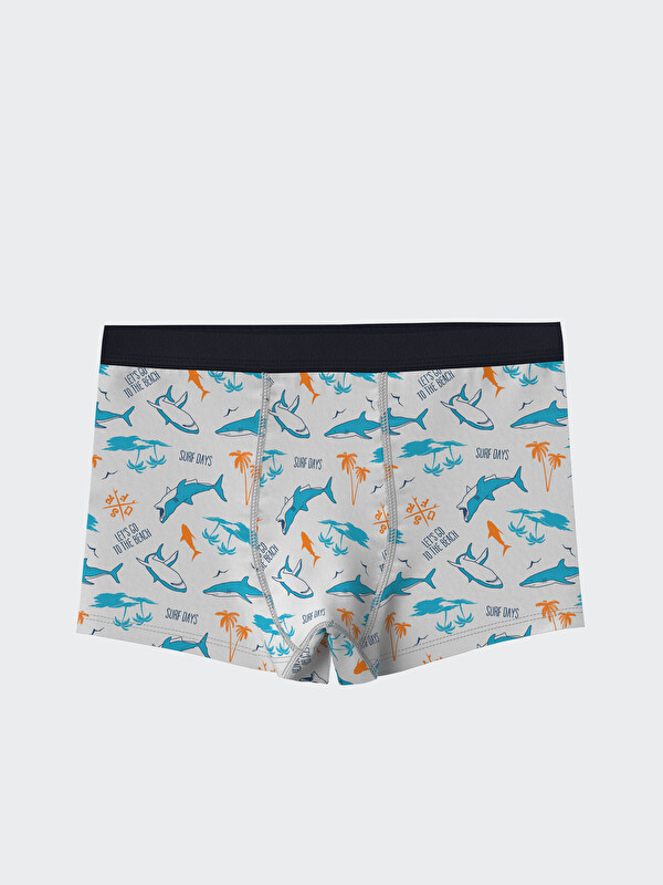 LCW Kids Baskılı Erkek Çocuk Boxer