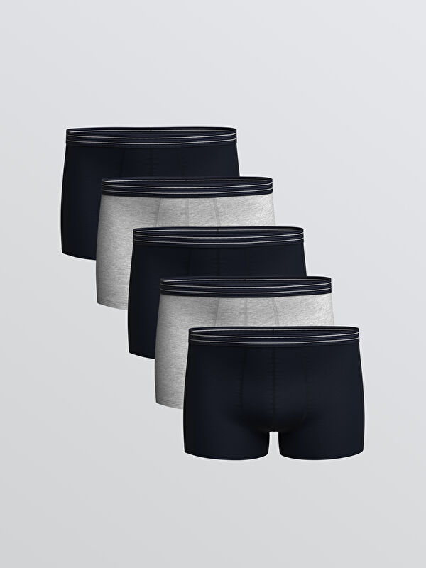 LC WAIKIKI Büyük Beden Standart Kalıp Pamuklu Esnek Erkek Boxer 5'li