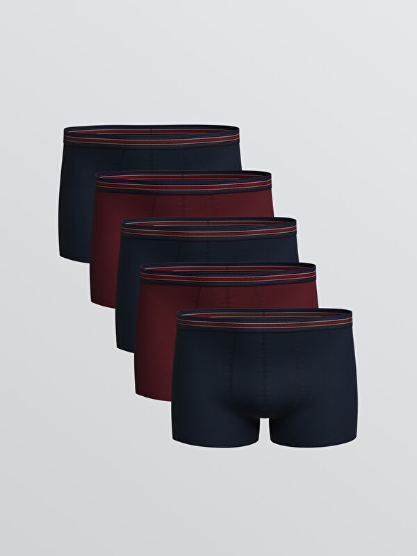 LC WAIKIKI Büyük Beden Standart Kalıp Pamuklu Esnek Erkek Boxer 5'li