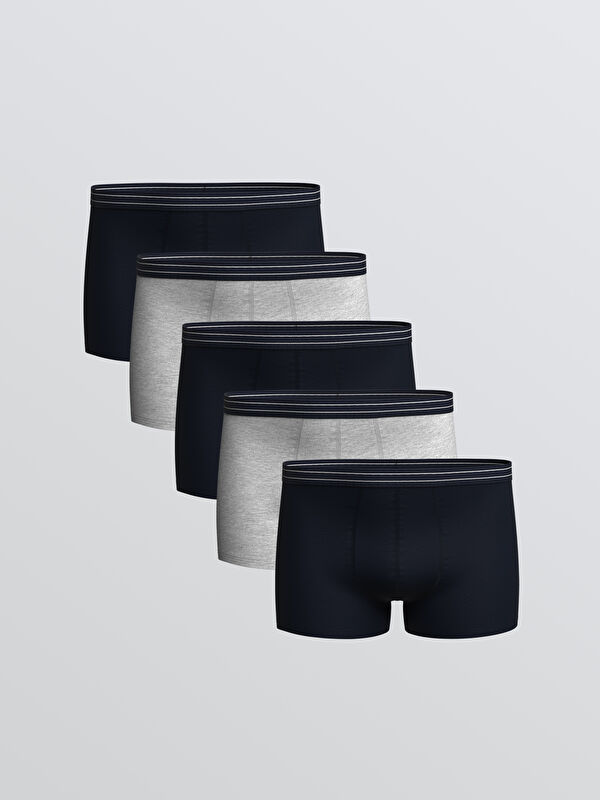 LC WAIKIKI Büyük Beden Standart Kalıp Pamuklu Esnek Erkek Boxer 5'li