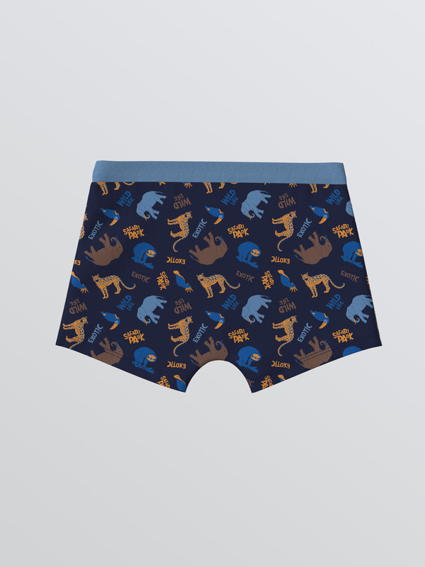 LCW Kids Erkek Çocuk Baskılı Boxer