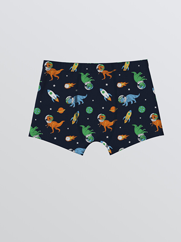 LCW Kids Baskılı Erkek Çocuk Boxer