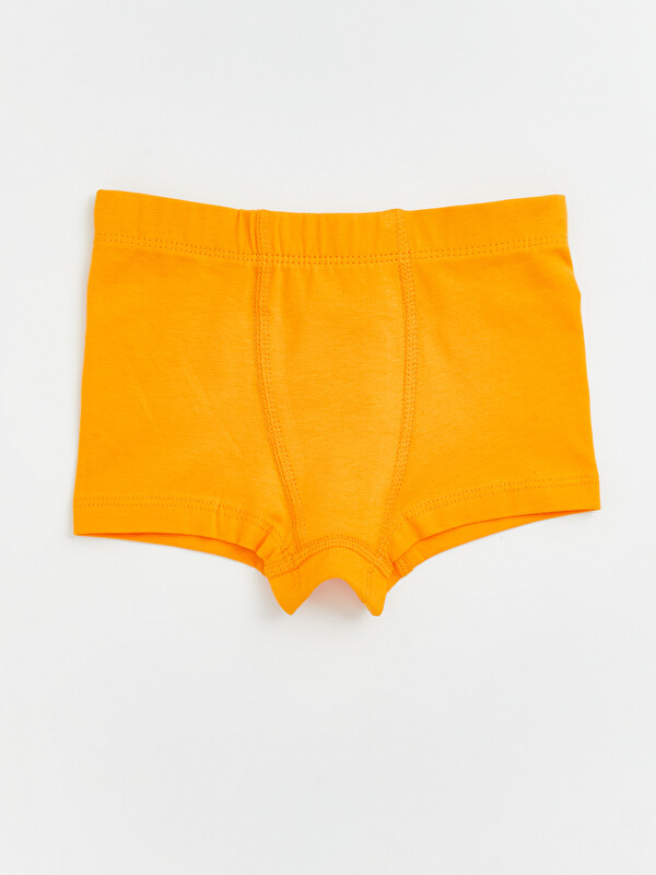 LCW Kids Beli Lastikli Baskılı Erkek Çocuk Boxer